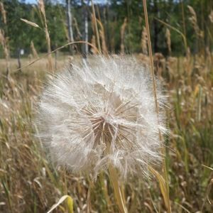 Meet your Posher, Makayla